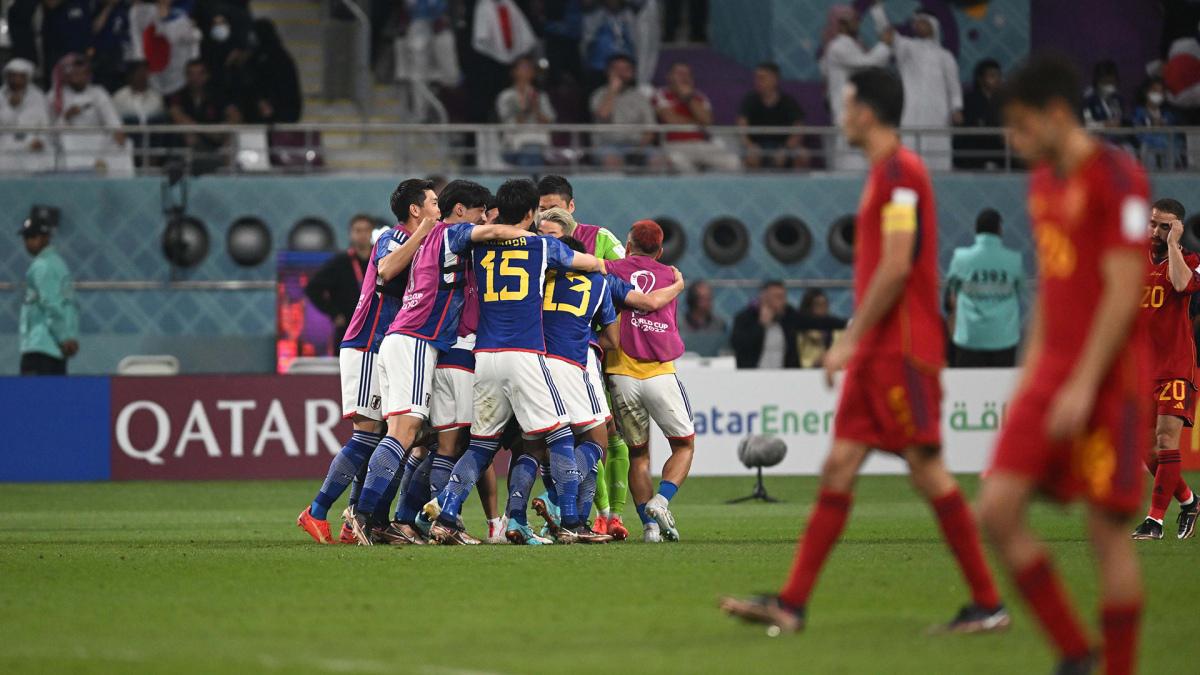 63890d4499000_1200 (1)