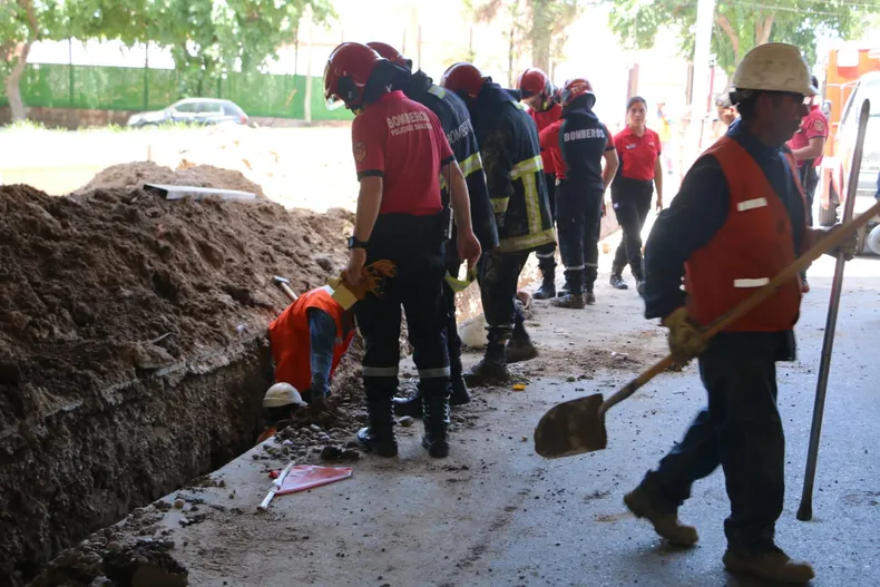 d3a19e81-44c3-46aa-9549-4d186b8384f3jpg