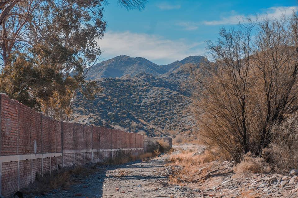 301515414_388907166757187_3936505109208438385_n