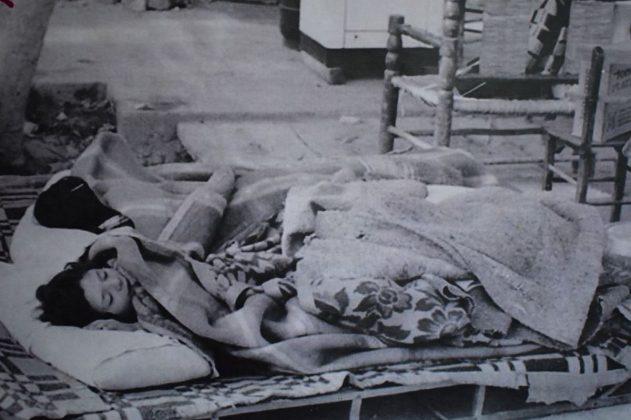 terremoto-77-5-631x420