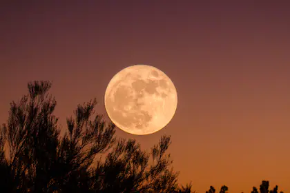 se-trata-de-la-ultima-superluna-del-RJ4FRKMMLRFS7JSAHQ5JCHHJZQ