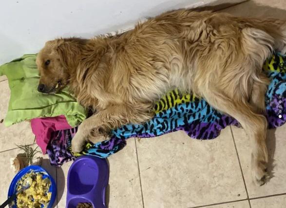 KCGUMXAMRNAPPOJJ6W7ESDRRXM