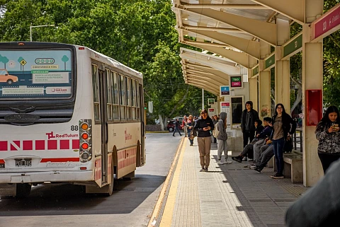 Colectivo