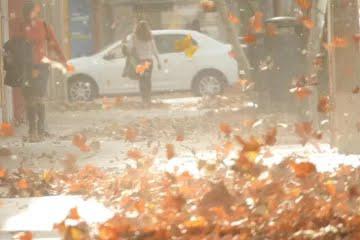 Clima Zonda viento