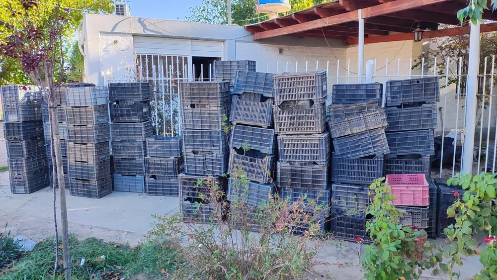 257f277b-e14a-4d8e-a8d9-3af9e5f7377f