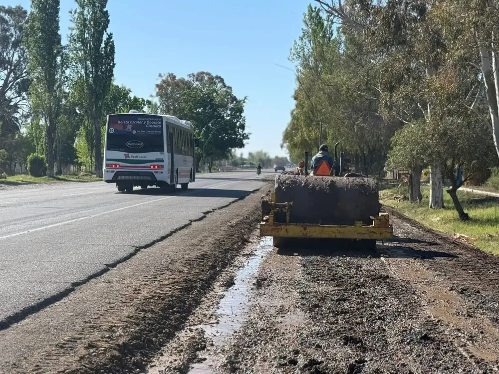 25f81646-10e9-4ae8-84aa-085e363ec46c