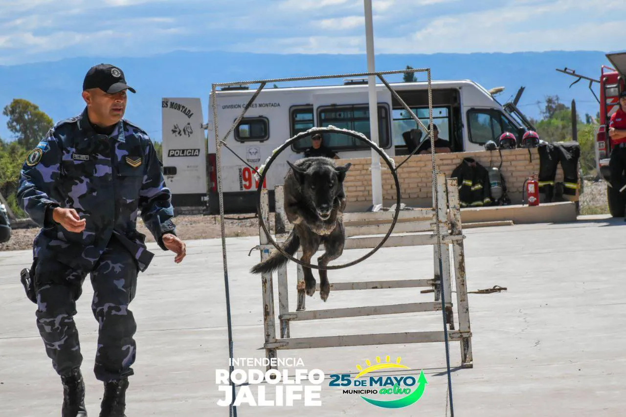 576877279_1238449428328248_4718537714267187043_n