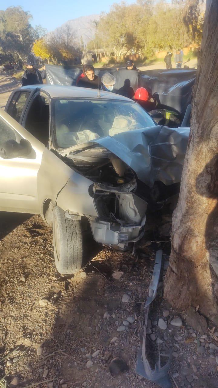 WhatsApp Image 2024-06-01 at 09.56.06