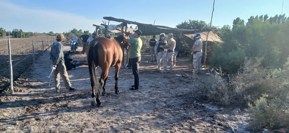 bb1ab0f6-f76f-4deb-ab8b-f2c626238c9e