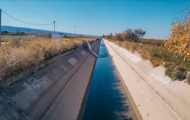 Sin título