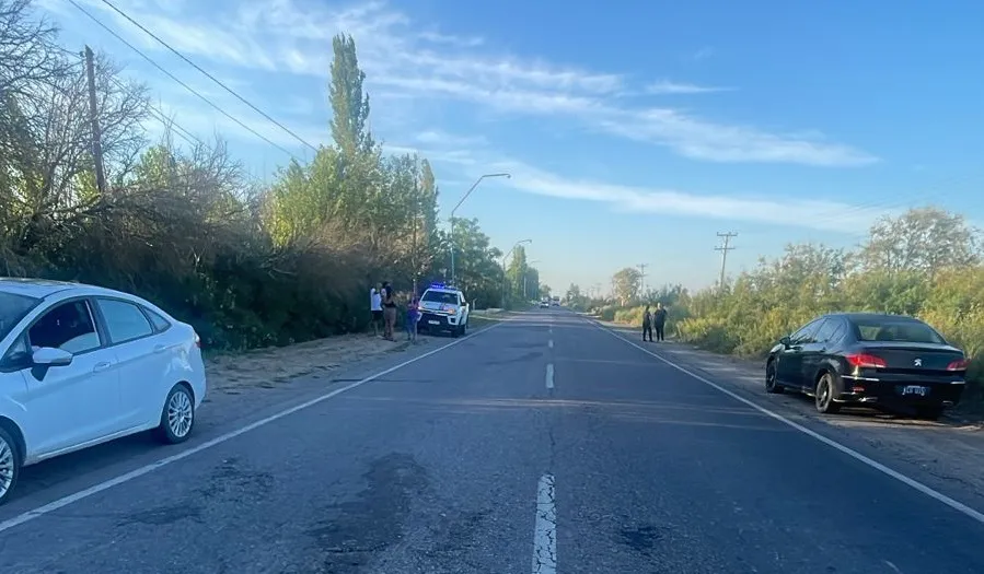 c177daa8-ae00-4c1f-8e77-7244d25f9563