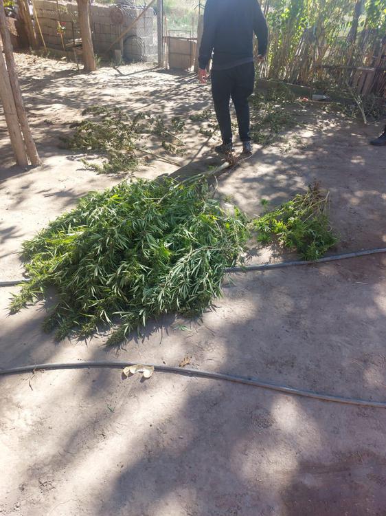 b1d009a0-aa6d-4ba3-8b94-4eb7106ac161