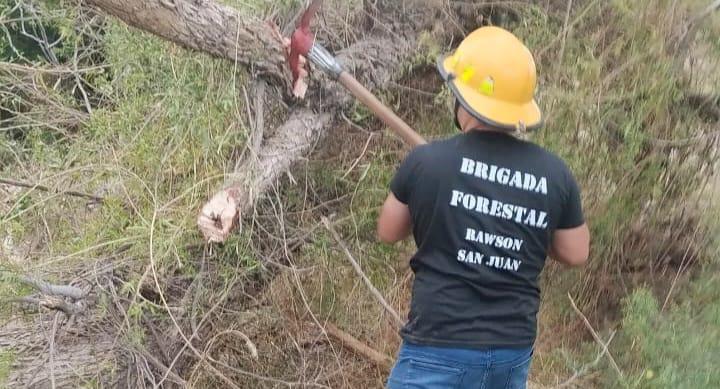 3cc00d5d-e718-45cf-a7ae-36760cbd7fd9