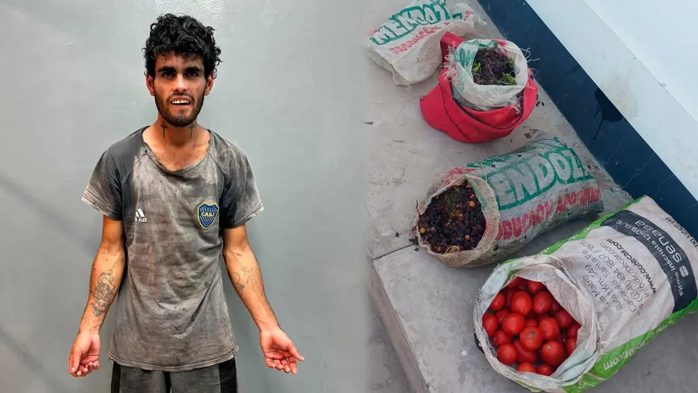 46f02fec-8ab9-48eb-b82e-99494a1c51df