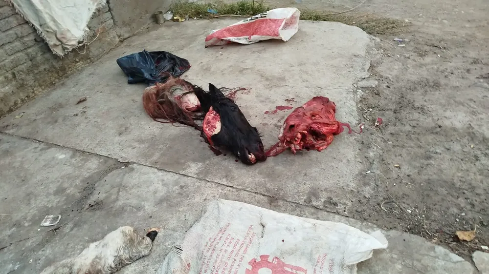 39ecc25b-e871-428c-ad21-edd600015466