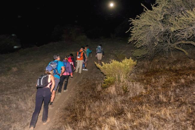 trekking-panul