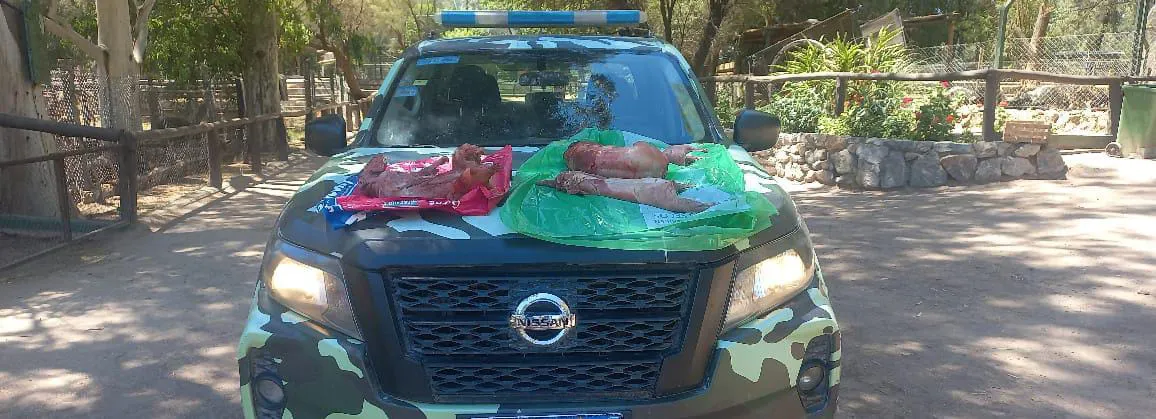 a810f937-cd13-4093-ae3e-5c5176481e4e