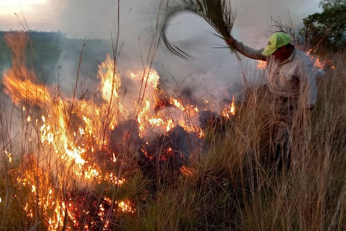 incendios-corrientes-01