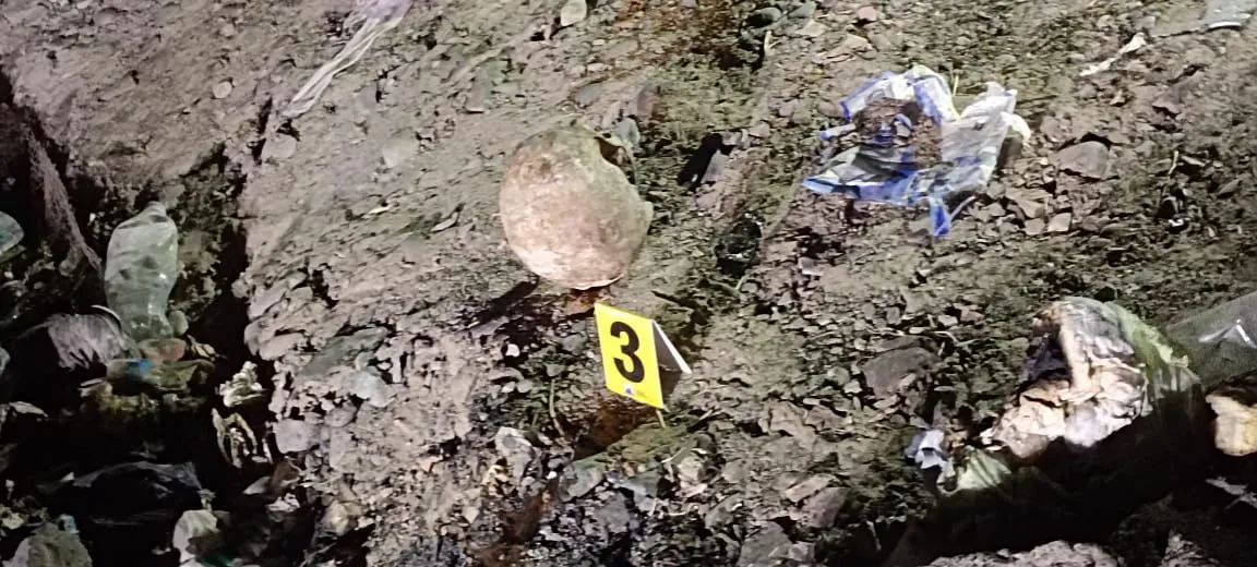 e1d87869-21a9-419d-9131-bc6b30bb870c