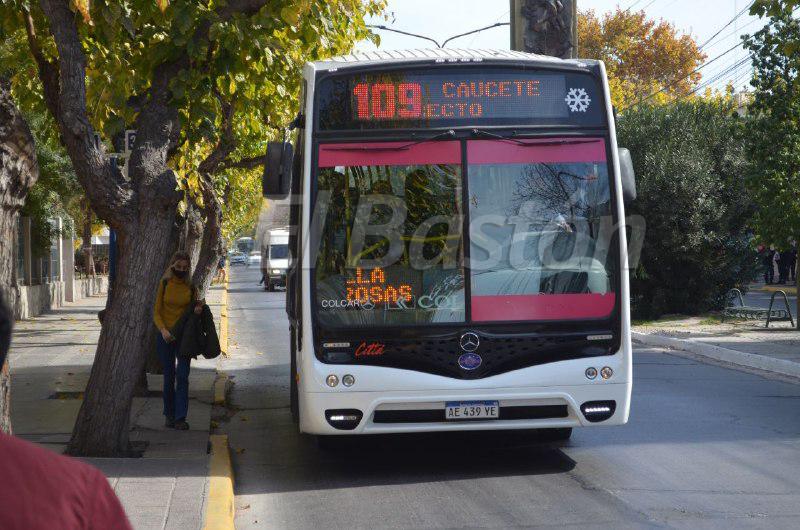 Colectivos (2)