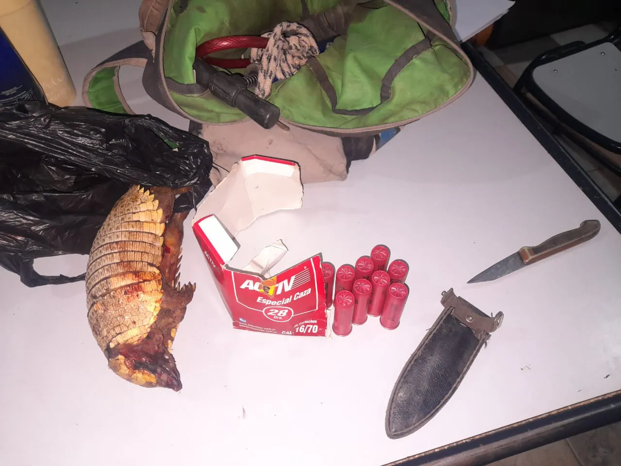 e8b819d7-550e-4fef-8050-d32b414a1945