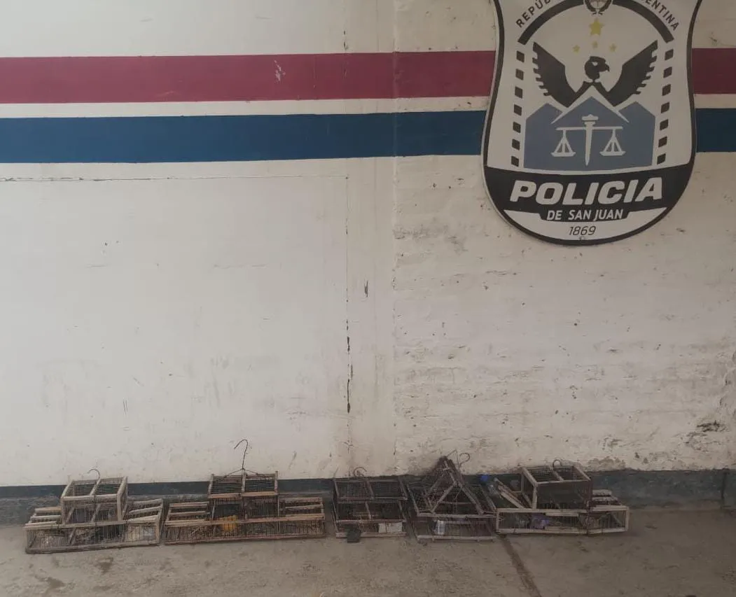 0071ef7e-3073-4492-9ef6-2c92c5c7c793