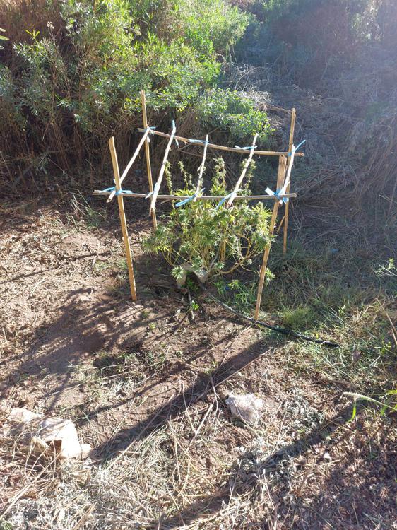 d0965b76-a995-4747-9ca2-c3a265dfed0e