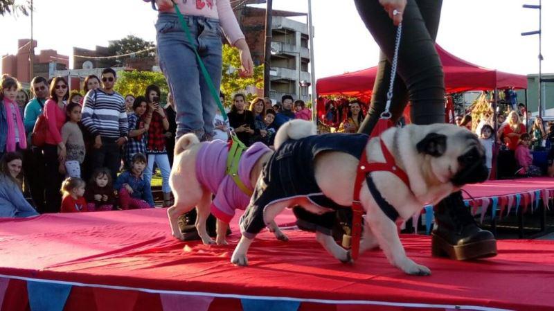 Feria-Emprender-Mascotas-4-c7mokni2l1s0