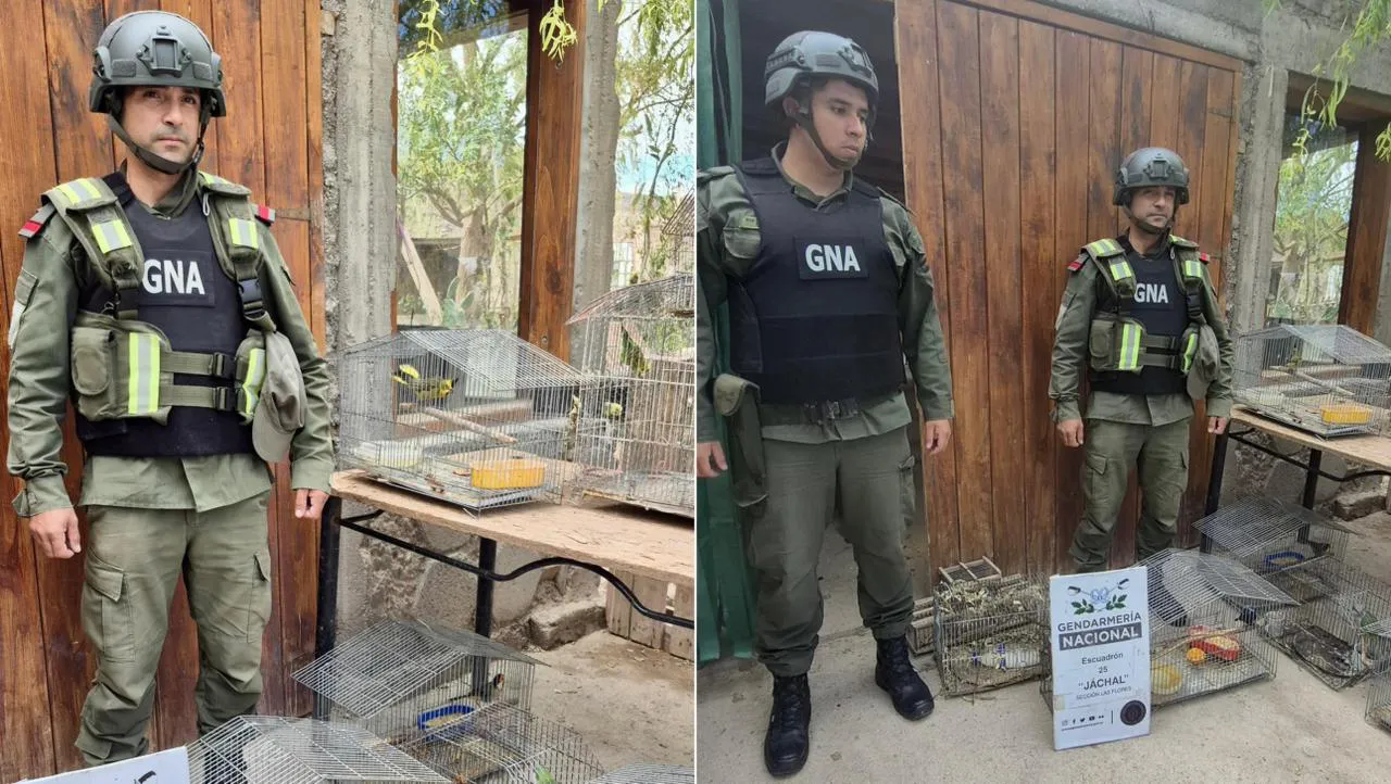 whatsapp_image_2026-02-09_at_07.07.27