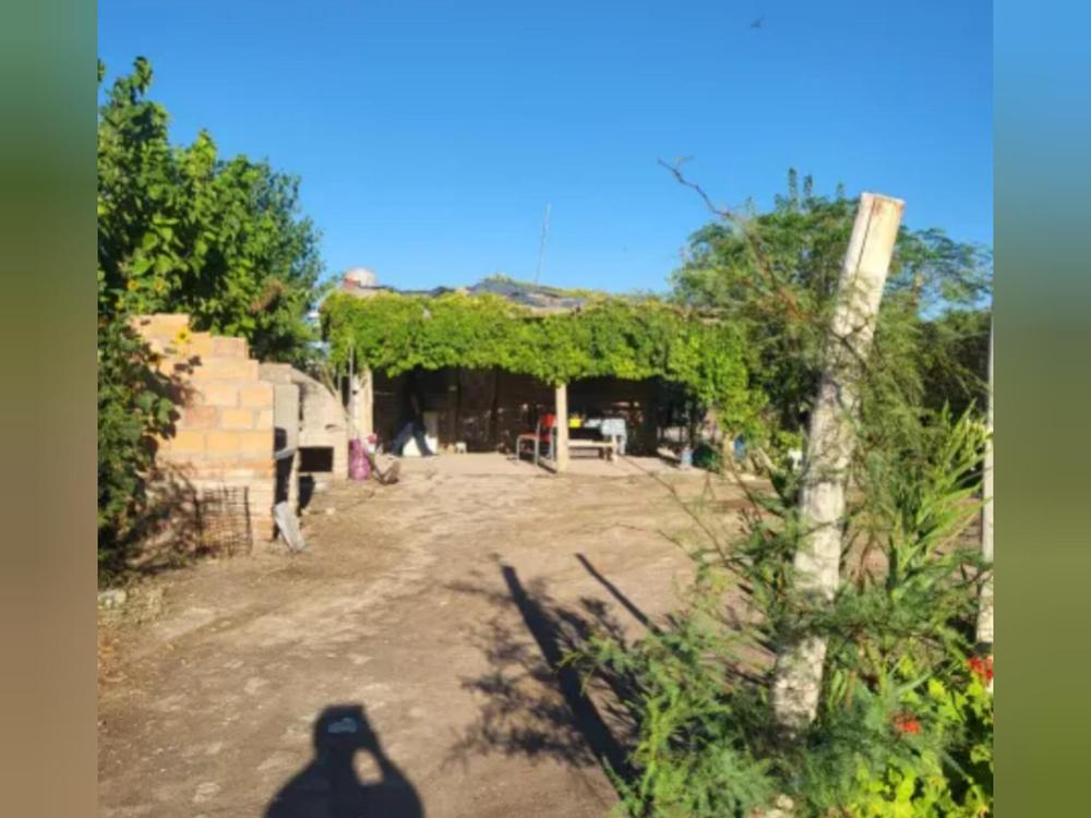 InShot_20240117_171303610