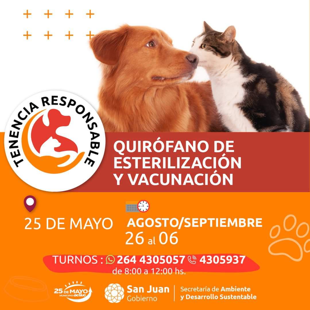 FB_IMG_1724411201388