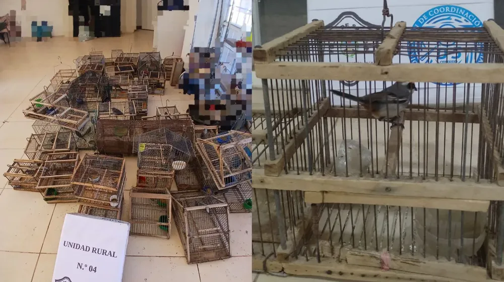 2b586ec3-662a-4a93-9285-9a85690952b0