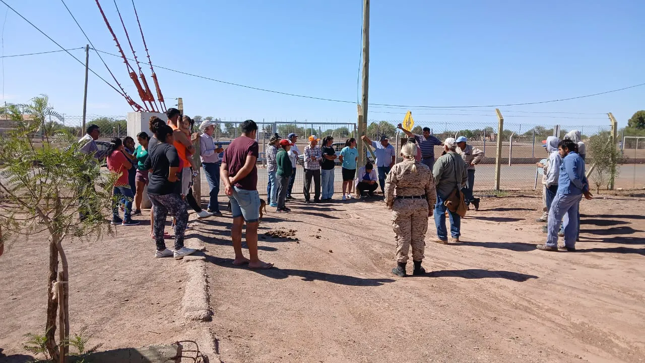 0cef1624-c966-4b9a-be67-21f2407cba0c