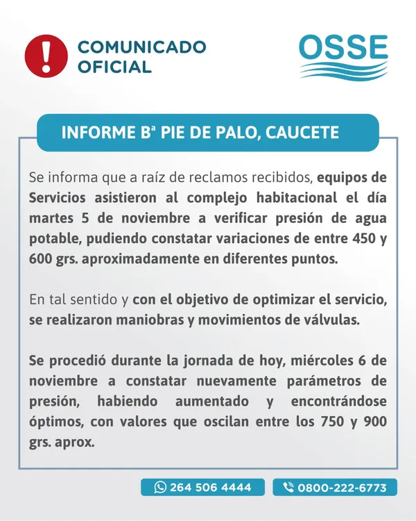 IMG-20241107-WA0015(1)