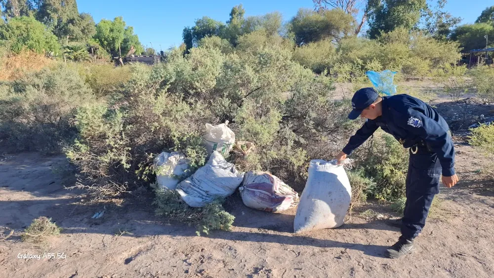 14c8e415-65e5-4f9d-b7e8-46f3b51d429a