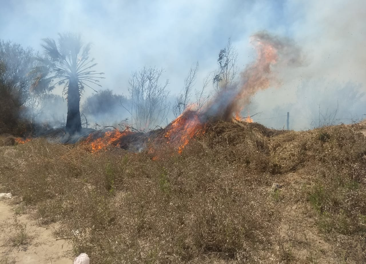 incendiomalezas