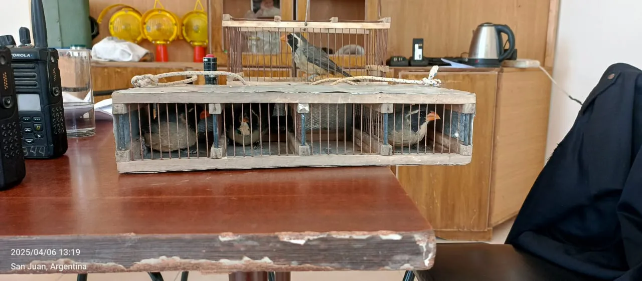 74934e1e-ba5f-4492-b6dd-24f605f8d635