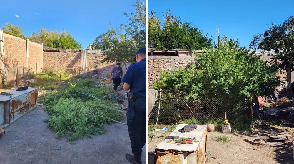 822d87fc-adfe-4879-9249-77ded17381a2