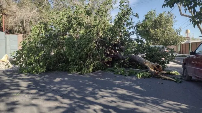 f685x385-334807_372500_5050