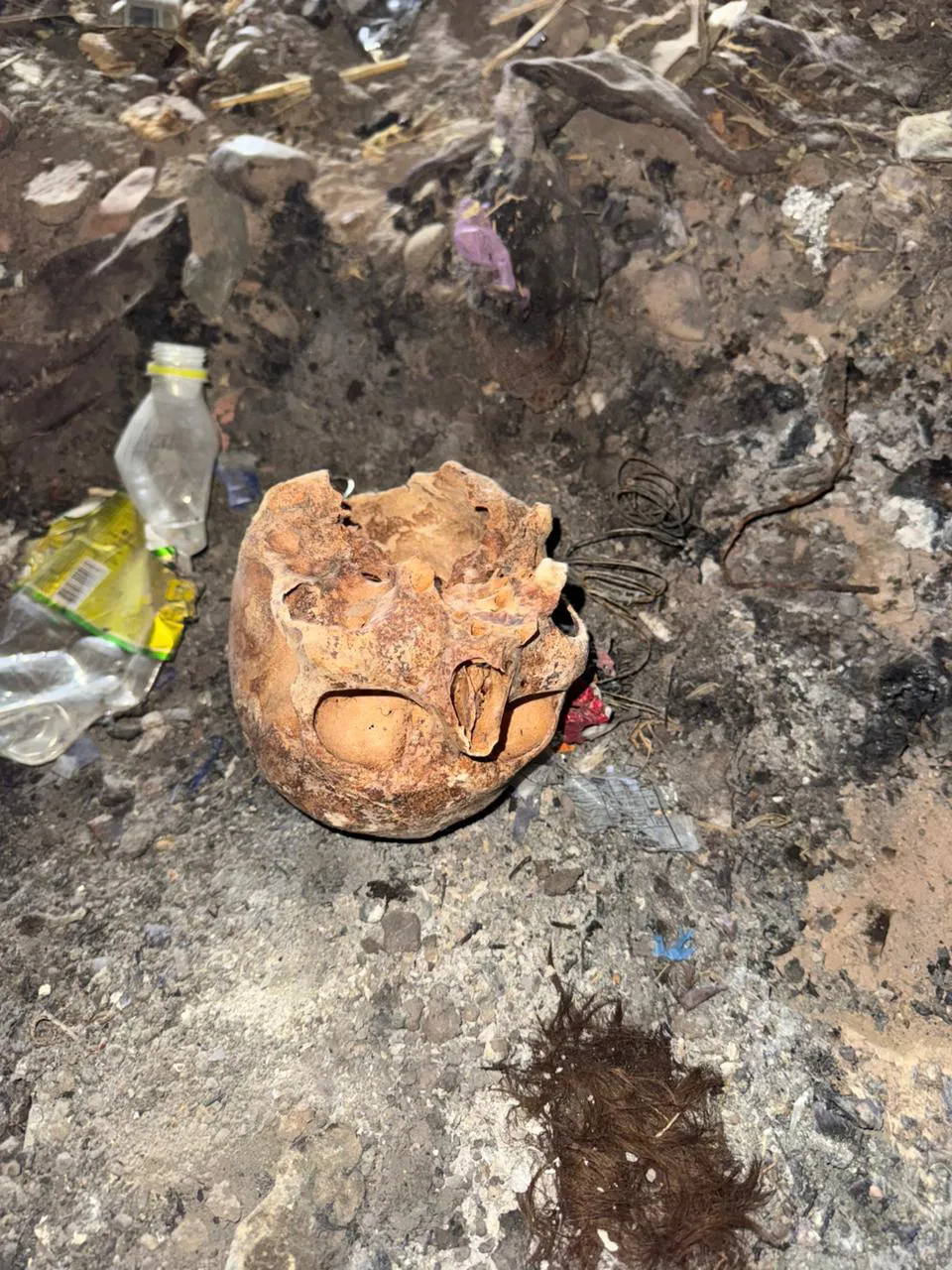 cee0b6b9-f45b-42a7-8a44-53596c6bc86b