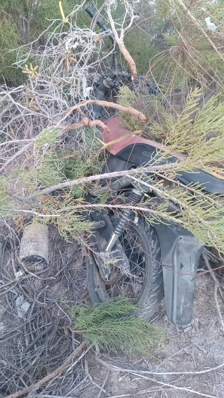 1f7f9f26-a33c-49bc-89c6-517c06834e79