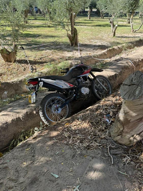 WhatsApp Image 2024-05-04 at 12.51.48