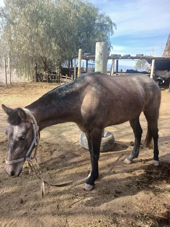 ce63c7d6-2113-42d6-bf00-abf1eea73da7