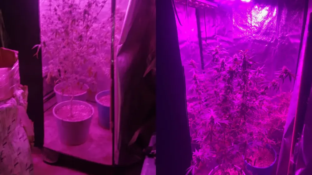 e86aad31-c735-4c1c-a396-e9e6d5dbe639