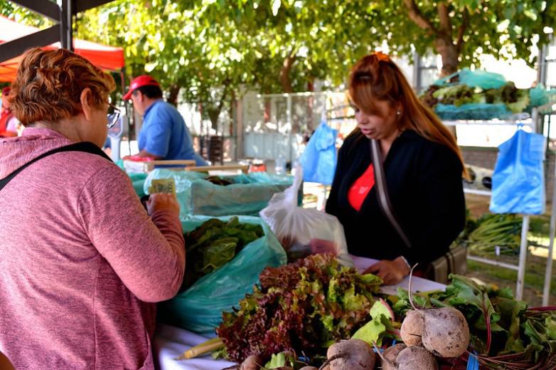 feria agro