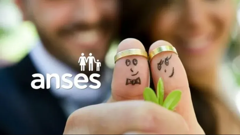 anses