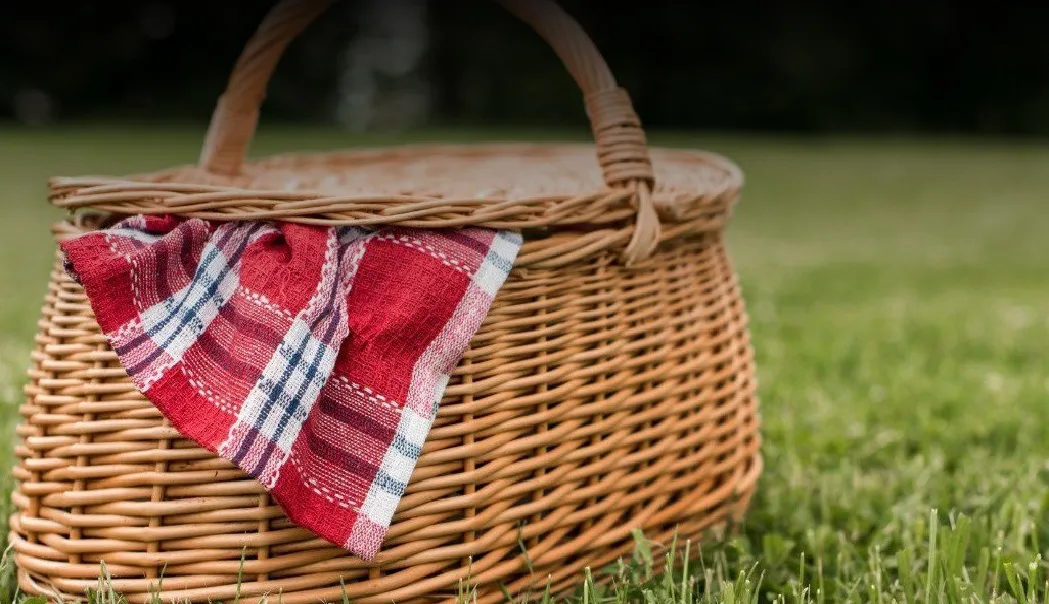 Dia-Internacional-del-Picnic