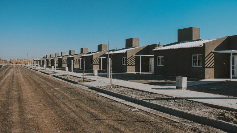 pie-de-palo-768x432