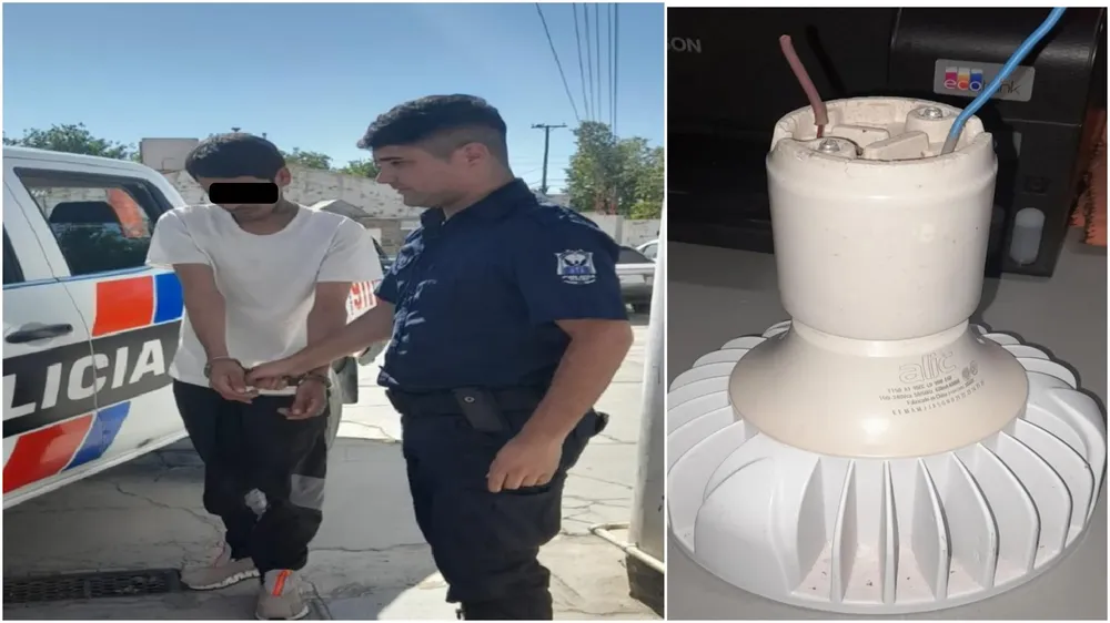 InShot_20241212_114605680