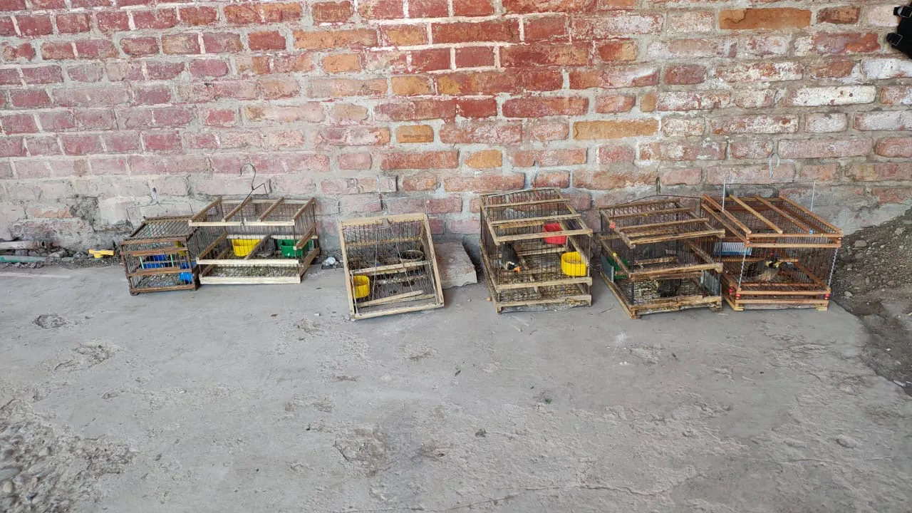 decf7b98-a961-45b5-b7f7-d0b3119a2683